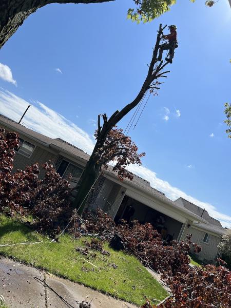 Jd's Yard Men LLC