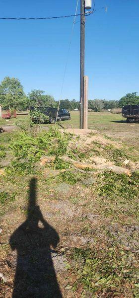 Lyons Family Tree Care LLC