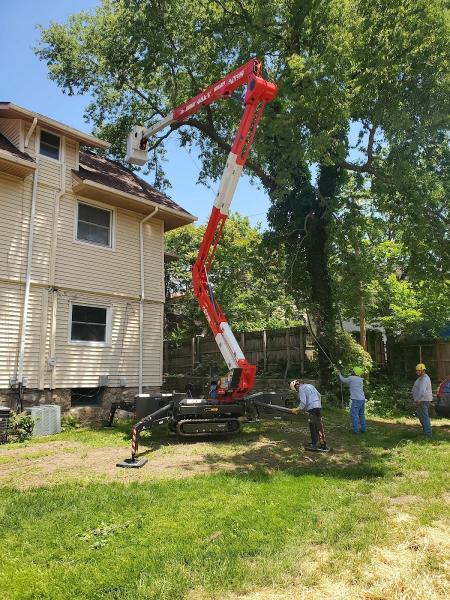 Ofilio Tree and Lawn Service LLC