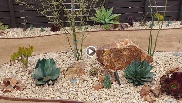 Green Touch Tree and Landscaping Services