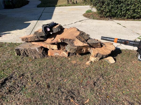 Jacksonville Stump Grinding