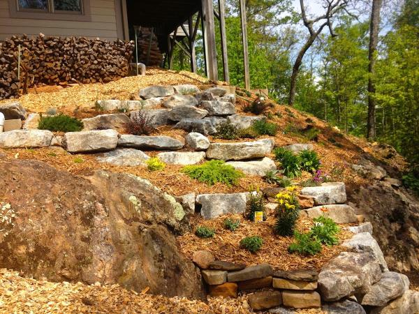 Low Maintenance Landscape in Asheville