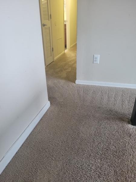 UCM Carpet Cleaning Clinton