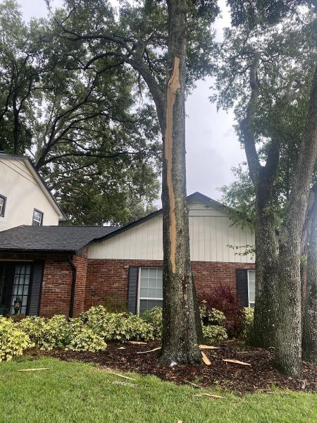 Jesse Scotts Tree Service