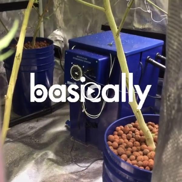 Urban Horticulture Supply