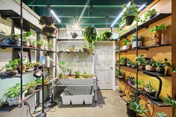 Urban Horticulture Supply