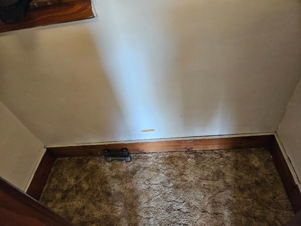 Selena Cleaning Service LLC
