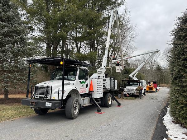 Soto's Tree Service & Landscaping Inc.