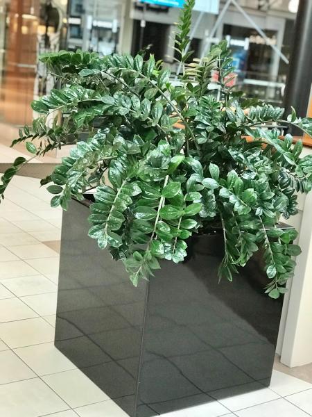 Casey & Company Interiors & Fine Gardens