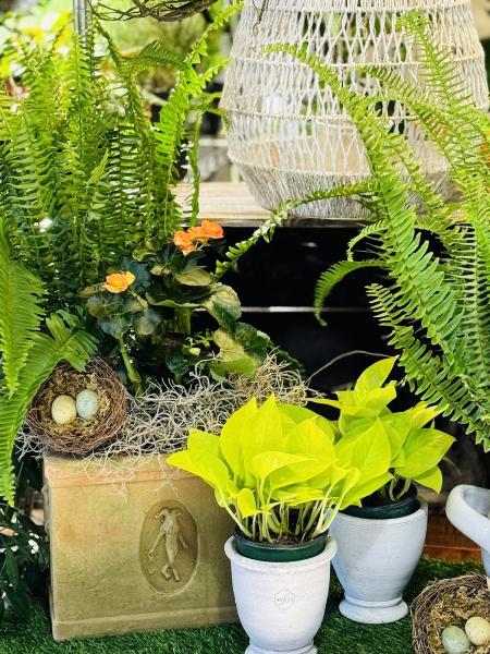 Casey & Company Interiors & Fine Gardens