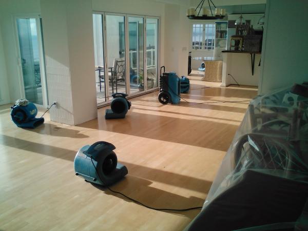 Tanin Carpet Cleaning