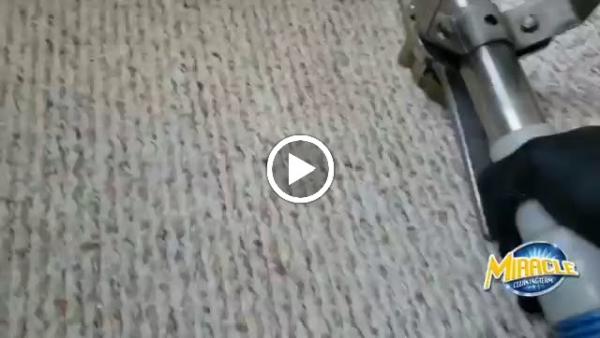 Miracle Cleaning Team LLC