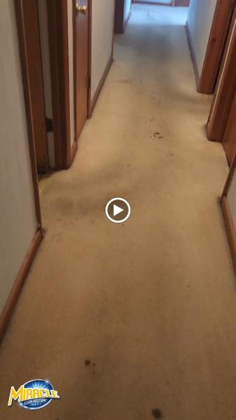 Miracle Cleaning Team LLC