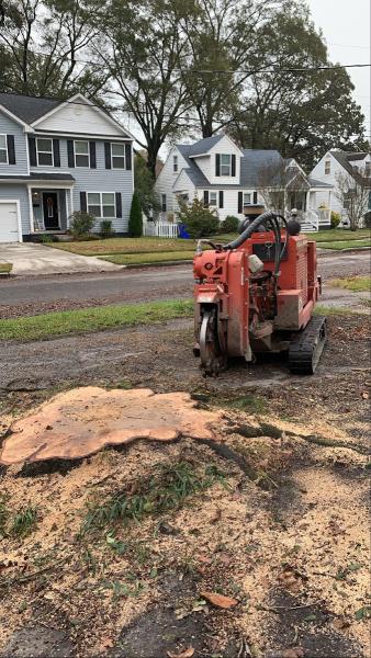 Scott Lanes Tree Service