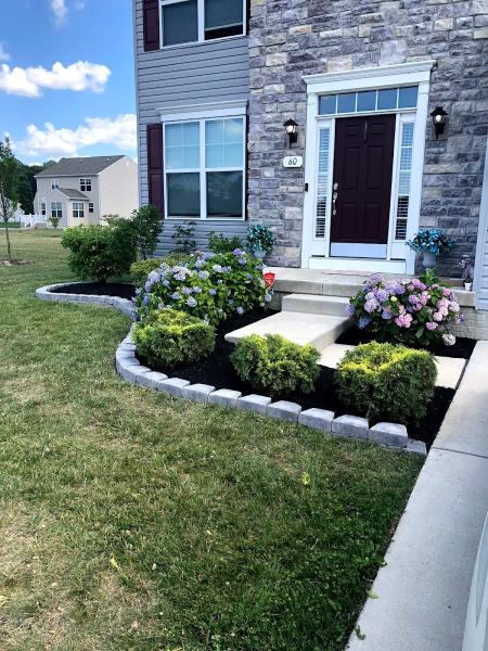 Bee Green Landscaping & Turf Management LLC