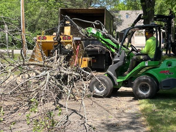 Gauger Tree Care LLC