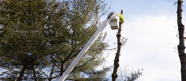 McKenzie Contracting