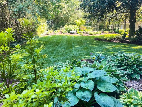 Roanoke Landscapes
