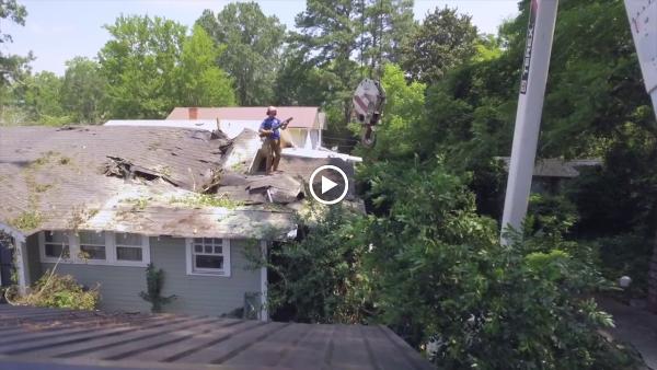 Kevin's Tree Service