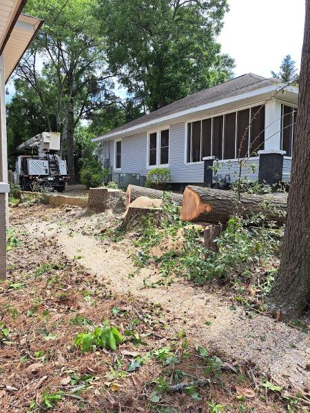 Kevin's Tree Service