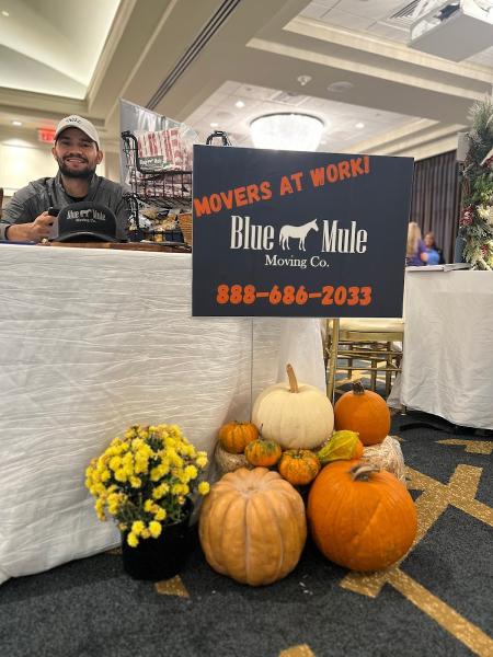 Blue Mule Movers