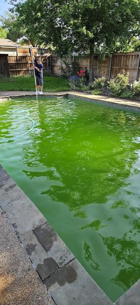 Blue Ribbon Pool Service