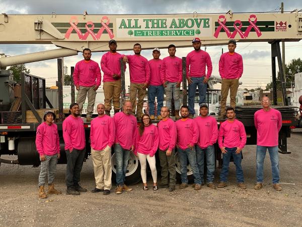 All the Above Tree Service