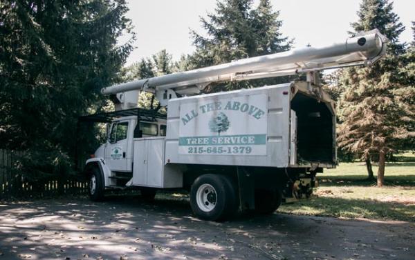 All the Above Tree Service