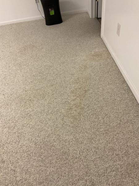 Certified Professional Restoration