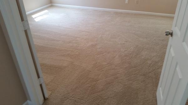 25 Minute Dry Time Carpet Cleaning