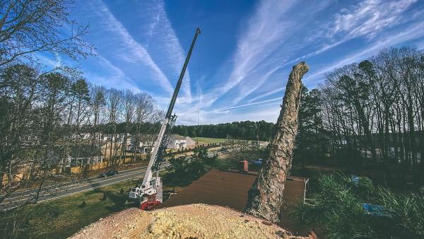 Lloyd's Tree Service