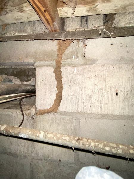 Mike Weed's Termite & Pest Control