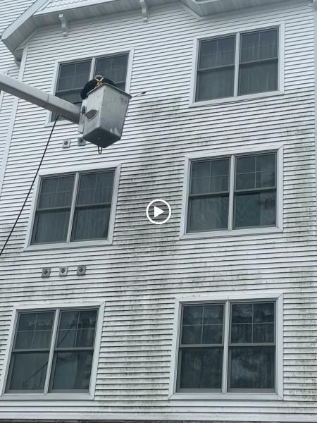 S & S Painting & Restoration LLC