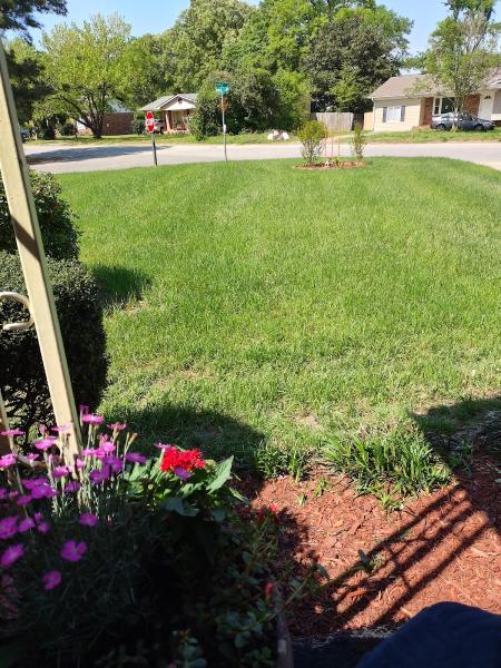 Pepp's Lawn Care Service