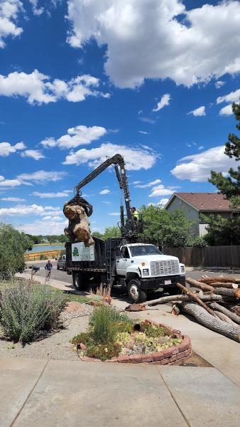 Limb Walkers Tree Service