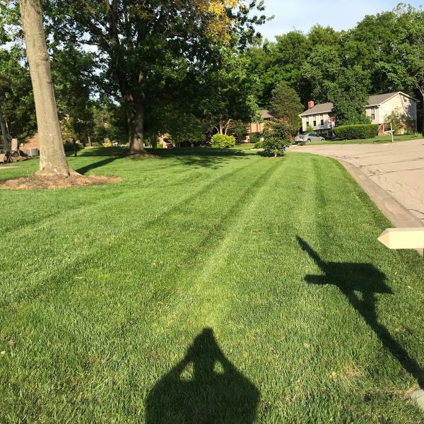 AK Lawn & Landscape