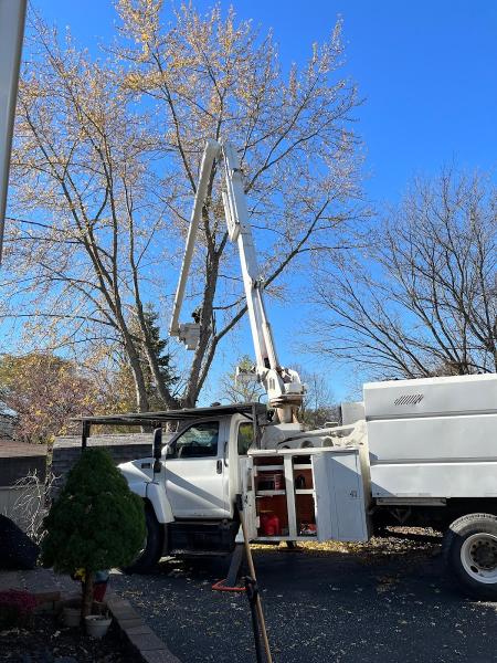 Johnke Tree Service