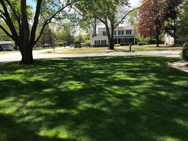 Land Art Lawn Care Service and Turf Management