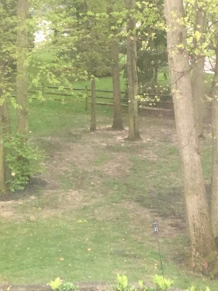 Land Art Lawn Care Service and Turf Management