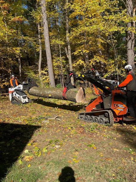 Tall Tree Landscape LLC