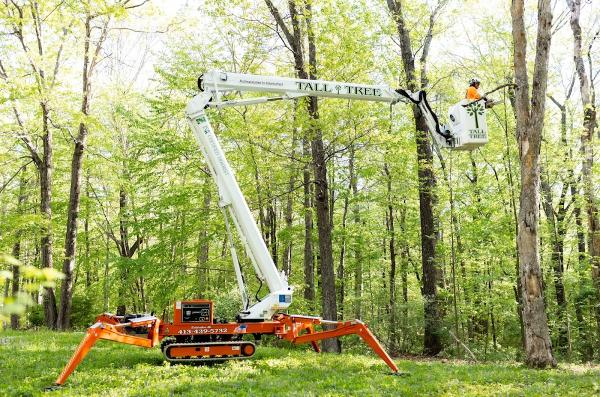 Tall Tree Landscape LLC
