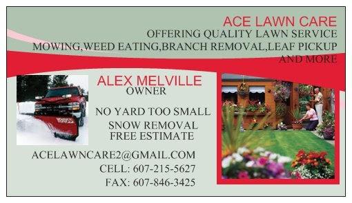 Ace Property Maintenance
