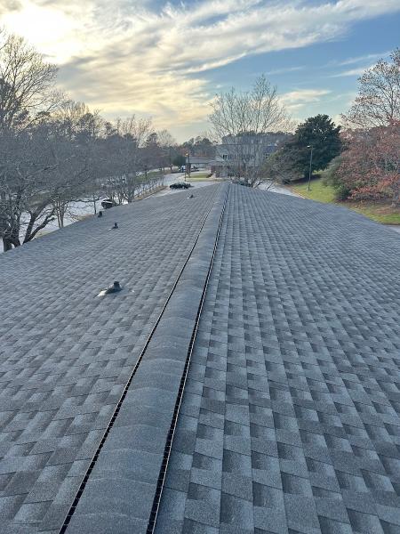 Black Dog Roofing