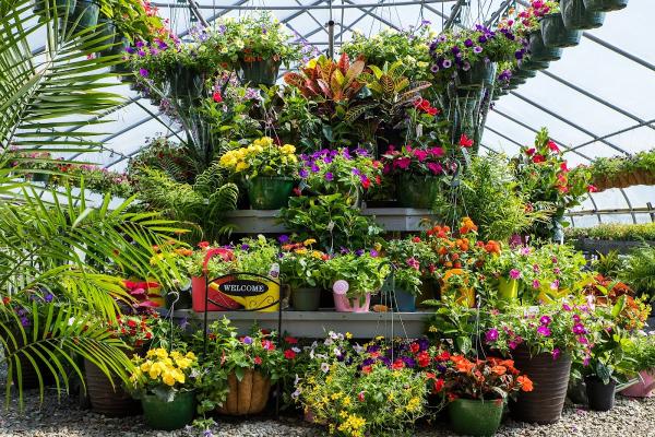 Bard Nurseries Inc