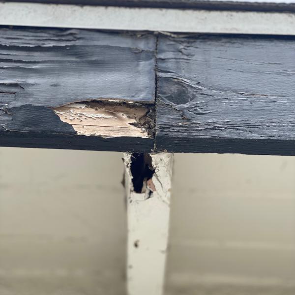 Johnnys Termite Control INC