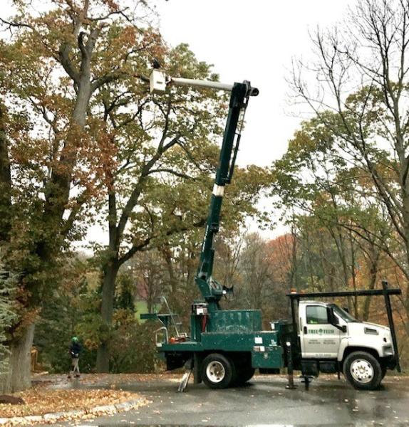 Tree Tech Inc
