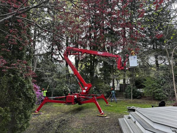 Tree Tech Inc