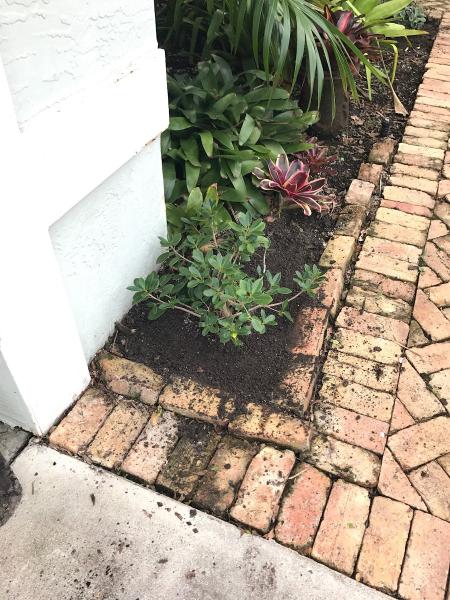 Jacob's Lawn Care & Landscaping