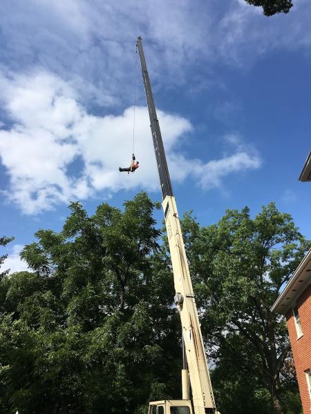 Wessling Tree Service