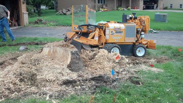 Miller Tree Service